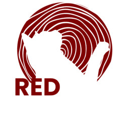 RedCat Produtora